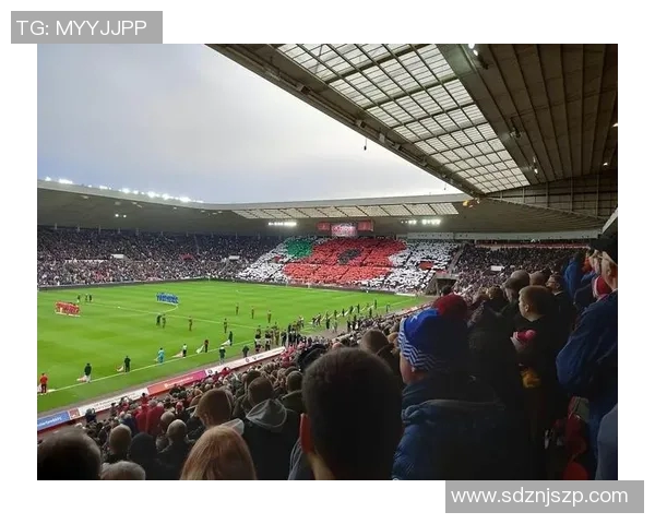 七十岁高龄仍在绿茵场上闪耀的日本足球明星传奇故事 七十岁高龄仍在绿茵场上闪耀的日本足球明星传奇故事