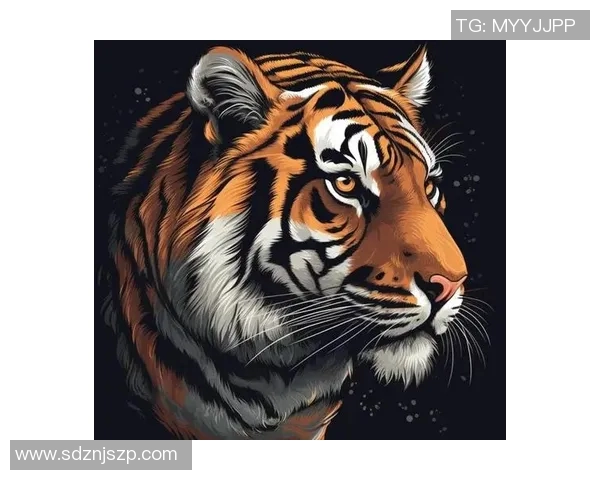 足球明星身上的老虎纹身揭示了他们的个性与力量的象征意义