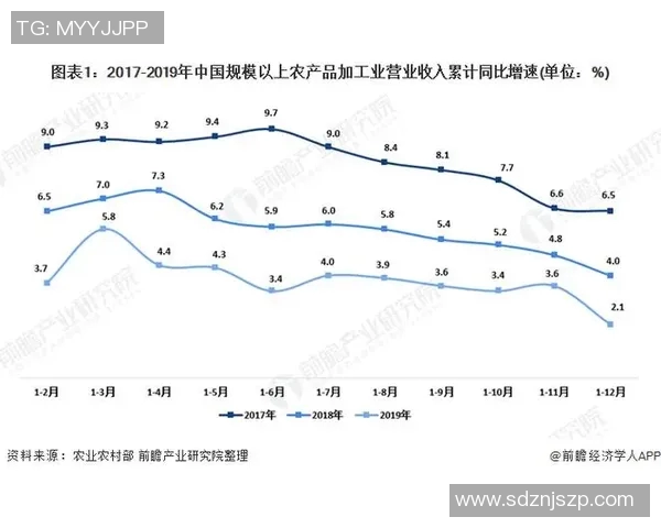 体育器材价格分析与市场趋势探讨助你选购最优性价比产品