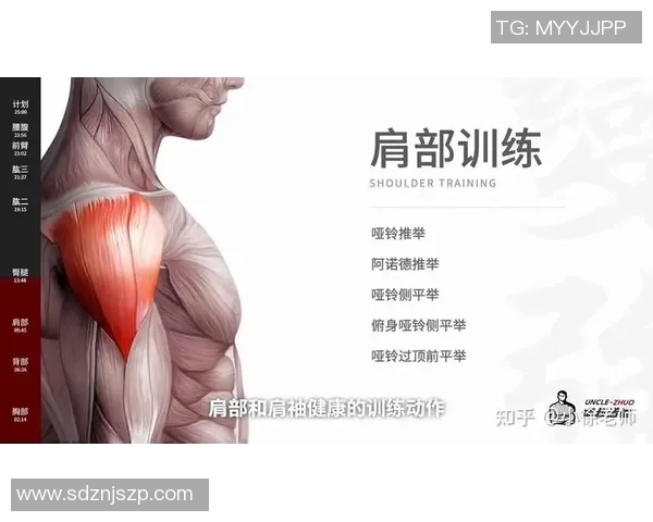 用哑铃高效锻炼胸肌的实用技巧与训练计划分享